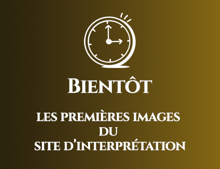 Bientôt les images